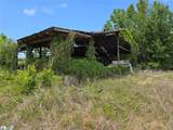 11828 County Road 105 - Photo 13
