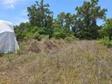 11828 County Road 105 - Photo 15