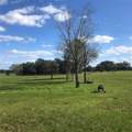 15440 16TH Lane - Photo 14