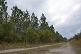  Off Louise Rd. - Photo 11
