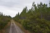  Off Louise Rd. - Photo 12