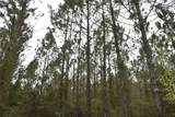 Off Louise Rd. - Photo 13