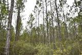  Off Louise Rd. - Photo 14