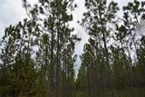  Off Louise Rd. - Photo 15