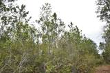  Off Louise Rd. - Photo 7