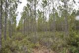  Off Louise Rd. - Photo 8