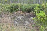 Off Louise Rd. - Photo 9