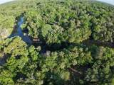 12445 Foss Groves Path - Photo 15