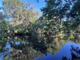 12445 Foss Groves Path - Photo 2