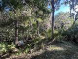 12445 Foss Groves Path - Photo 21