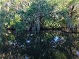 12445 Foss Groves Path - Photo 22