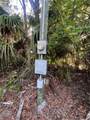 12445 Foss Groves Path - Photo 24