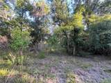 12445 Foss Groves Path - Photo 25