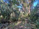 12445 Foss Groves Path - Photo 29