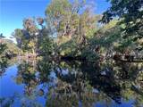 12445 Foss Groves Path - Photo 3