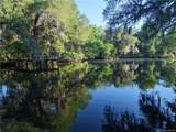 12445 Foss Groves Path - Photo 4