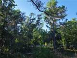 12445 Foss Groves Path - Photo 8