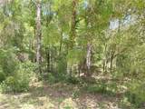 00 141ST Avenue - Photo 4