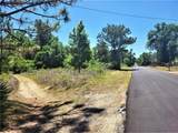 5089 Tanglewood Avenue - Photo 2