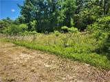 5089 Tanglewood Avenue - Photo 3