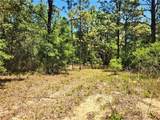5089 Tanglewood Avenue - Photo 4