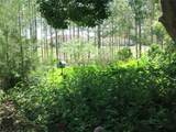 1799 Shanelle Path - Photo 50