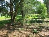 1799 Shanelle Path - Photo 52