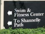 1799 Shanelle Path - Photo 55