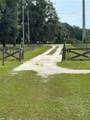 18520 Highway 329 - Photo 7