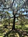 310 Debra Street - Photo 37