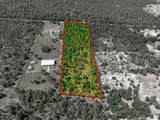 TBD Hwy 328 - Photo 5