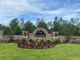 11748 Memorial Drive - Photo 14