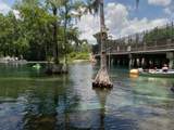 19370 Saint Benedict Drive - Photo 44