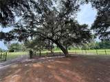 1360 State Road 19 - Photo 25