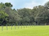 1360 State Road 19 - Photo 28