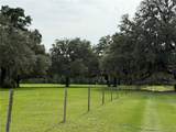 1360 State Road 19 - Photo 30