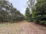 1360 State Road 19 - Photo 52