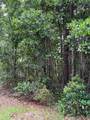 1360 State Road 19 - Photo 53