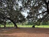 1360 State Road 19 - Photo 68