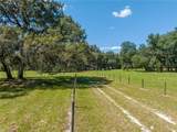 1360 State Road 19 - Photo 9
