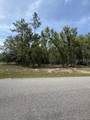  82ND Loop - Photo 2