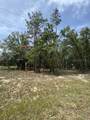  82ND Loop - Photo 3