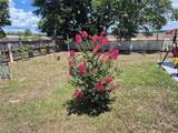 21511 Plantation Street - Photo 40