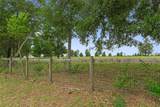 21191 Plantation Street - Photo 40