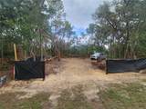 3919 Orchid Street - Photo 2