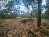 3919 Orchid Street - Photo 6