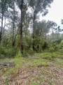 714 Longwood Avenue - Photo 13