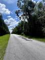2406 Pine Cone Avenue - Photo 3