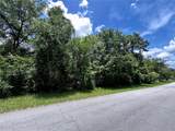 2406 Pine Cone Avenue - Photo 5