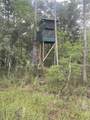 0000 County Road 347 - Photo 13